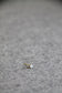 DIAMOND STUDS I OHRSTECKER 14K GOLD
